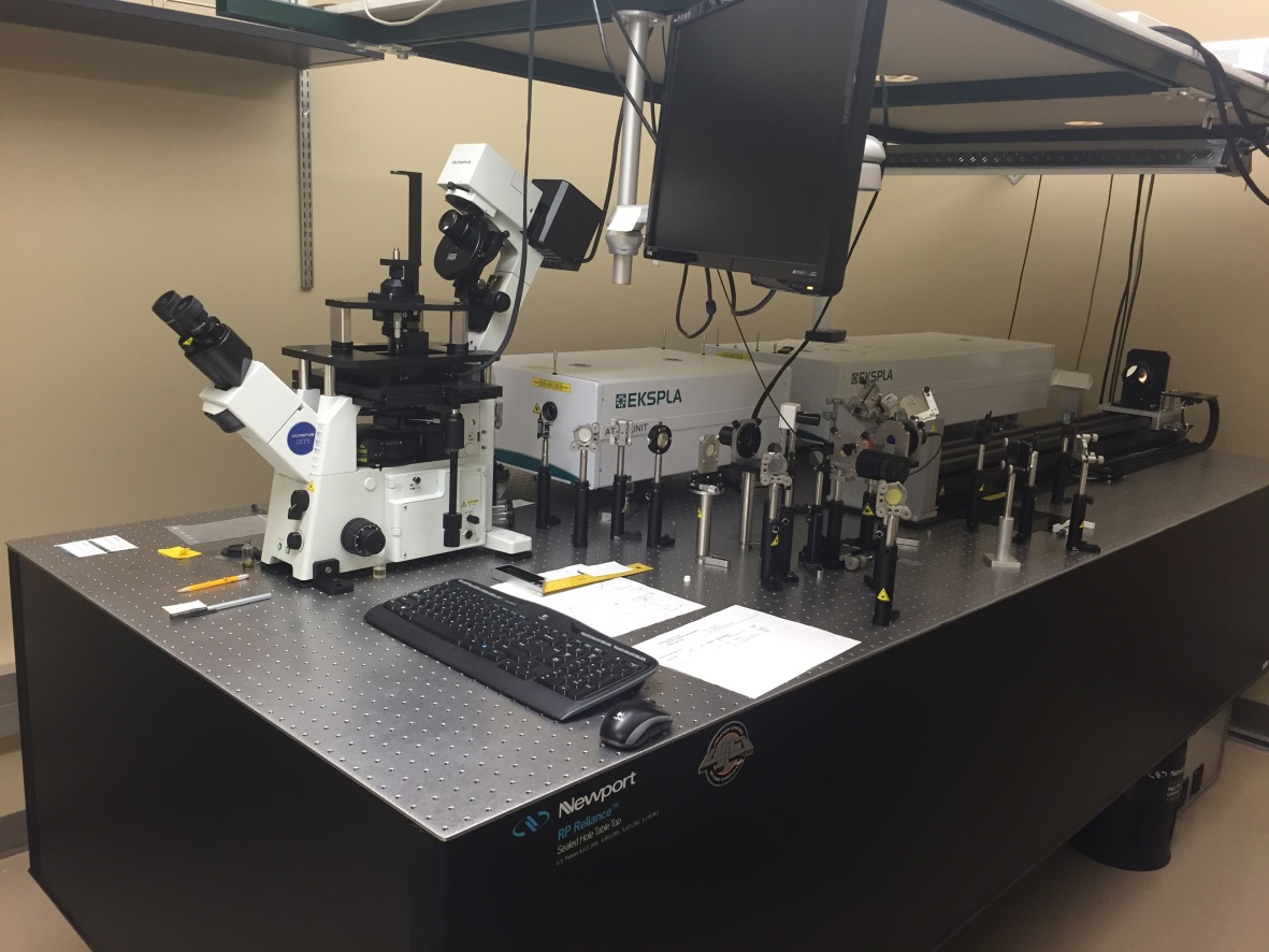 Coherent Anti-Stokes Raman Scattering (CARS) microscope