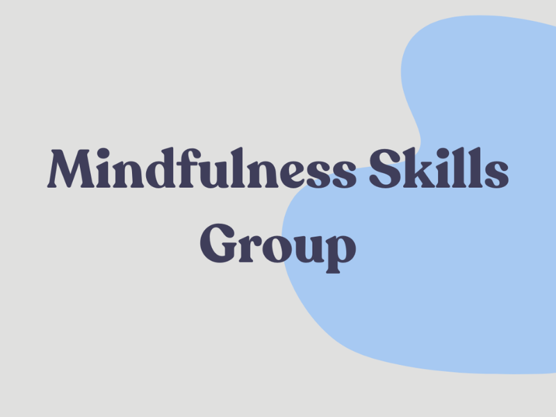 Mindfulness Skills Group
