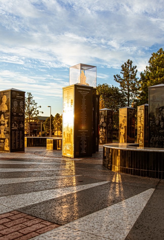 This is alt text for the image